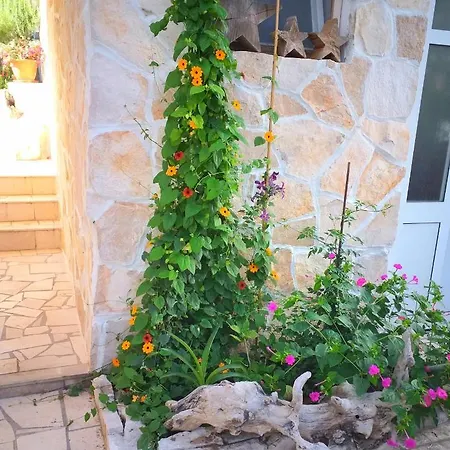 Kuca Merdzo * Orebić