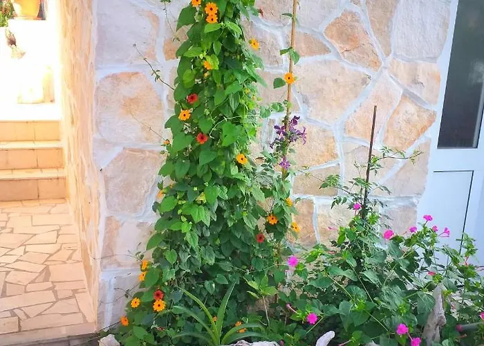 Kuca Merdzo * Оребич